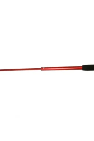 IFISH Teleskopisk Ice Scoop i metall Large Offre Spéciale