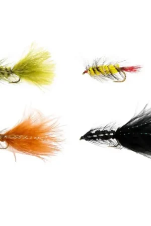 Promotion Saisonnière Pool 12 Wolly Bugger (4-pack)