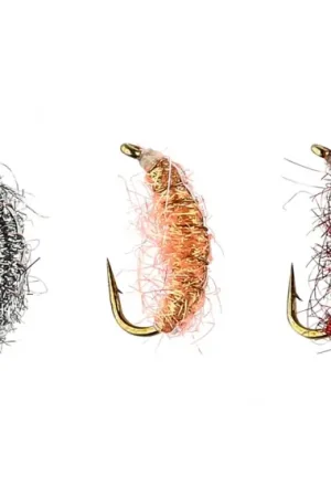 IFISH Shrimpcocktail Vente Directe