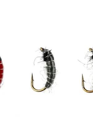 IFISH Öringgodis Produit De Marque