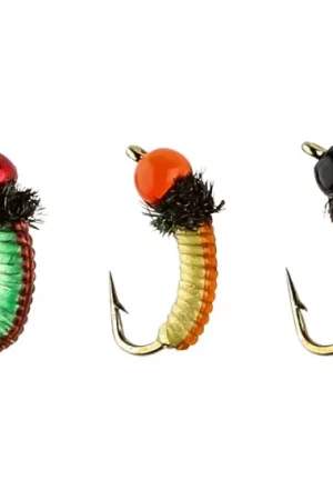 IFISH Grubs Top Vente