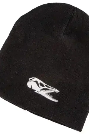 Meilleur Choix IFISH Beanie