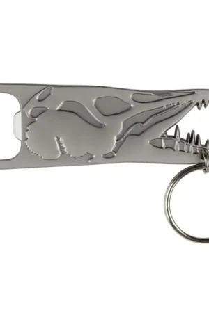 IFISH Bottle Opener on Keychain Affaire À Saisir