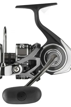 Daiwa 20 BG MQ - 5000D-H Livraison Express