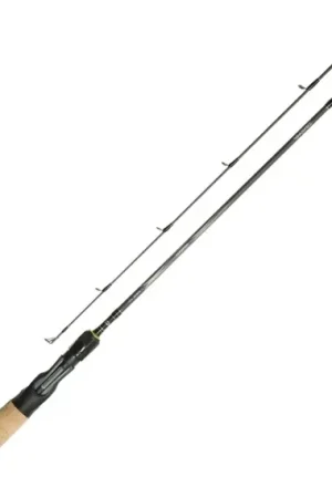 Daiwa Goldcast 6'0'' 2pc Medium 10-30g Casting Paiement Sécurisé