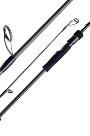 Remise Daiwa Prorex XR Spinning - 9'0'' 120g Dist. & Swim