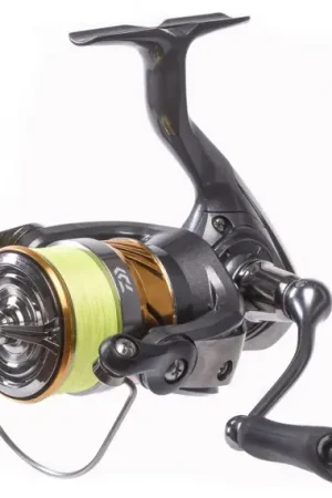 Daiwa 20 Laguna LT ink. J-Braid X4 YL - 3000-C, 0.19mm Acheter Direct