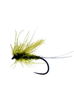 Prix Choc CDC Baetis Dun Olive # 12