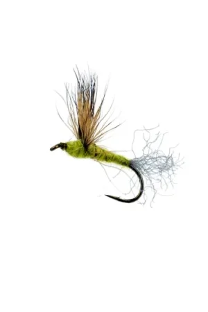 Comparadun Light Olive # 12 Achetez Aujourd'hui