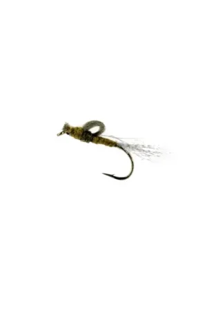 CDC Emerger # 10 Dernière Chance
