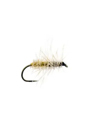 Superpuppa Amber # 12 Petit Prix