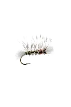 Poly-Dyret # 12 Prix Promo