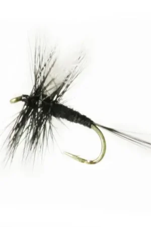 Black Gnat # 16 Petit Prix