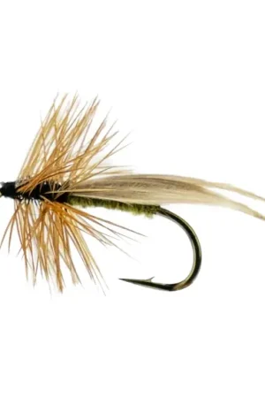Europa 12 Olive # 10 Vente Flash