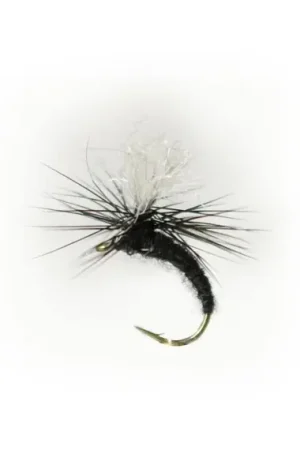 Klinkhamer Black # 15 Prix Choc