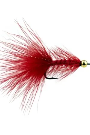 Wolly Bugger BH Red # 6 Dernière Chance