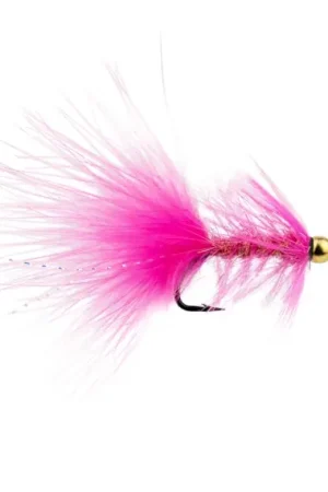 Réduction Wolly Bugger BH Pink # 6