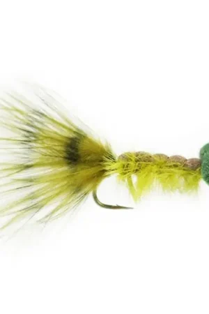Achetez Aujourd'hui Dragonfly Booby # 8