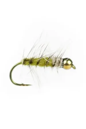 Bon Plan Superpuppan Olive BH # 12