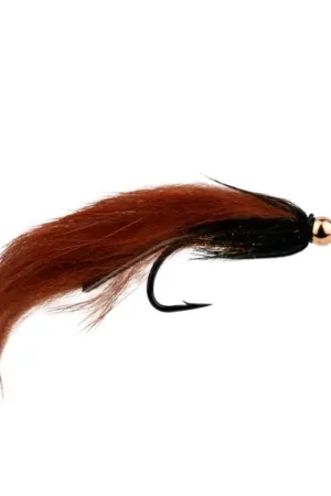 Zonker Brown BH # 6 Promotion