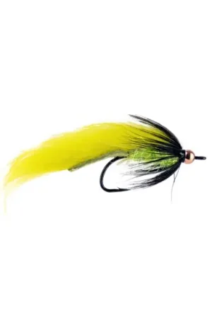 Zonker Yellow BH # 6 Promotion