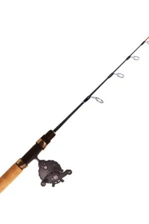 Réduction FIBE Premium 56cm Combo Flat FLY30 M