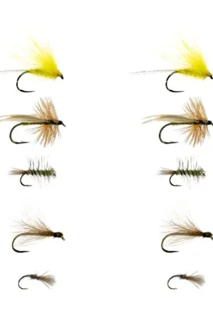 Must-Have Flugpaket Torrfluga 1