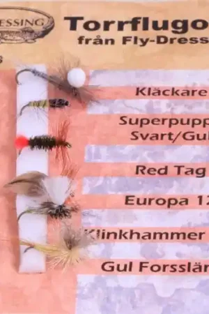 Torrflugor 1 Petit Prix