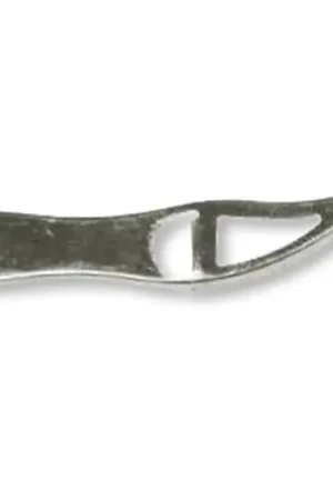 Offre Exclusive Fish Scaler