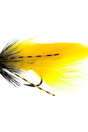 Offre Limitée Zonky Yellow TMC7989 #6