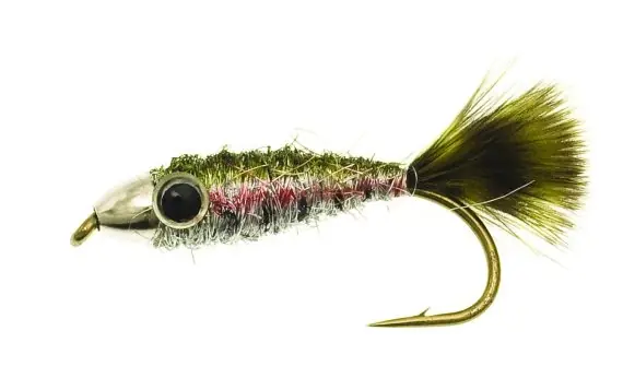 Commander Vite Pellet Fish Silver/Black Kamasan B170 #6