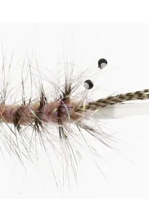Alive Shrimp Tube Plast Nouvel Arrivage