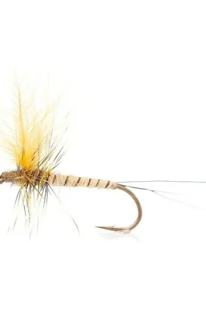 Danica Light - Daiichi 2220 #10 Nouvelle Collection