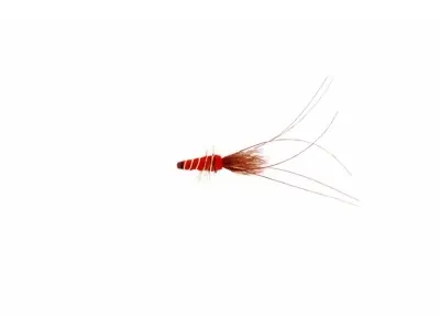 Vente Flash Red Frances Tube 25mm