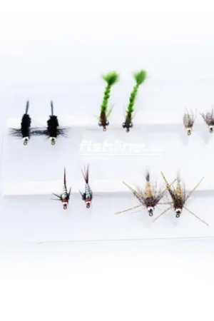 Promotion FLy Assorment Nymphs 10pcs