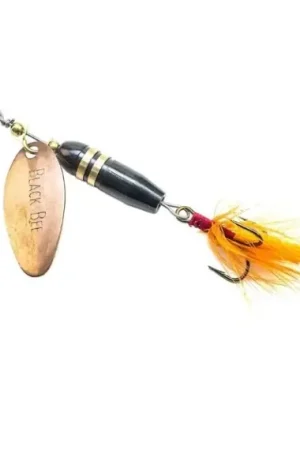 Fig Black Bee 10g - B-P Réduction