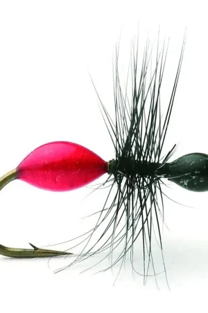 Retour Gratuit Transparant Ant Black/Red Maur Tørr - 14
