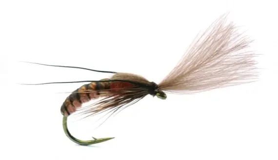 Paiement Sécurisé Super Emerging Caddis Cinnamon - 12