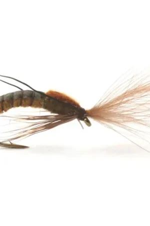 Top Vente Super Emerging Caddis Brown Olive - 16
