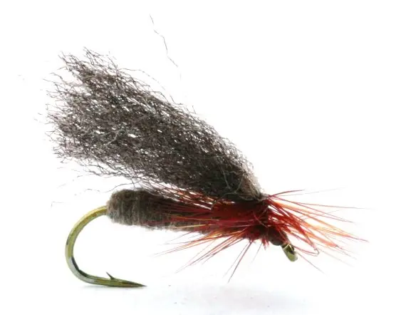 Renaflua Brown - 12 Petit Prix