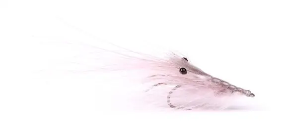 Pattegrisen - Grey #4 Dernier Modèle