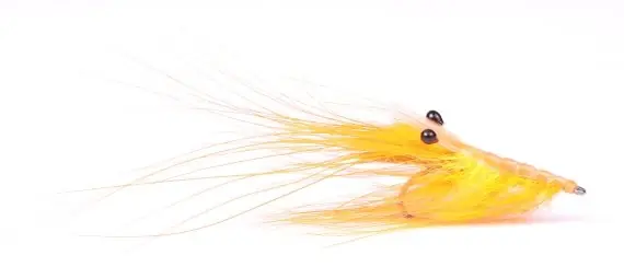 Pattegrisen - Orange #4 Nouvel Arrivage