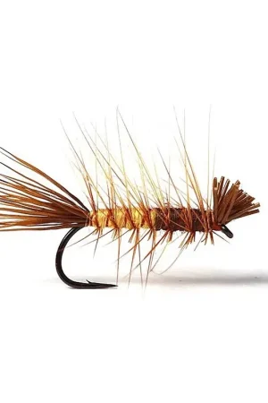 Super Dyret Brown/Yellow #14 Prix Promo