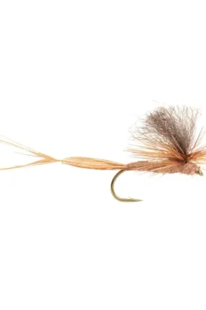 Sjösandslända size 10 Expédition Rapide