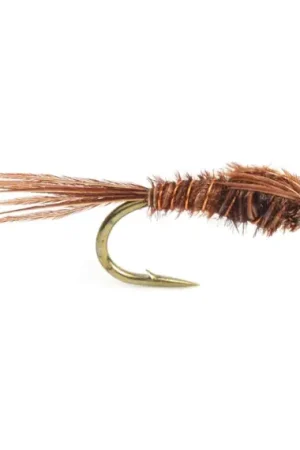 Pheasant Tail size 14 Prix Choc