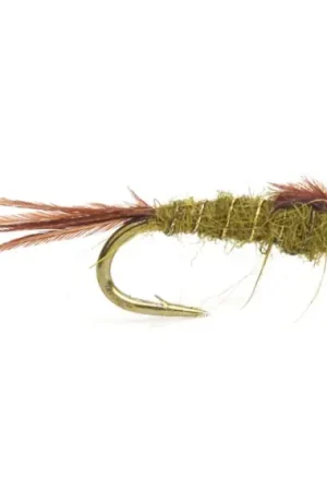 Olive Hare s Ear # 16 Offre Exclusive