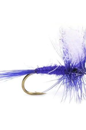 Promotion Deep Purple Dry # 12