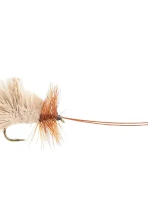 Goddards Caddis Trout # 14 Dernier Modèle