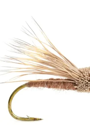 Streaking Caddis Trout # 12 Authentique