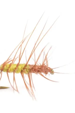 Superpuppa Olive/Rust size 12 Prix Promo